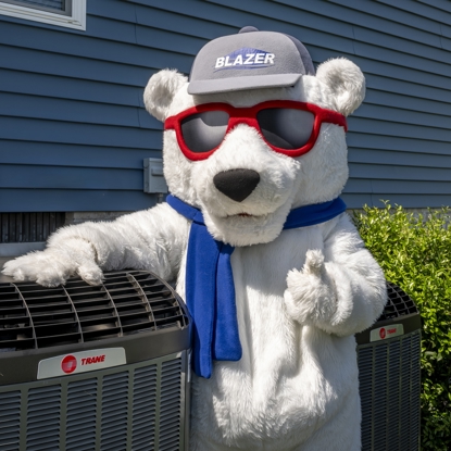 Blaze  The Bear Photo