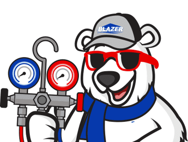 Blaze The Bear Photo Blaze The Bear Photo