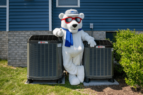blaze the bear by ac units