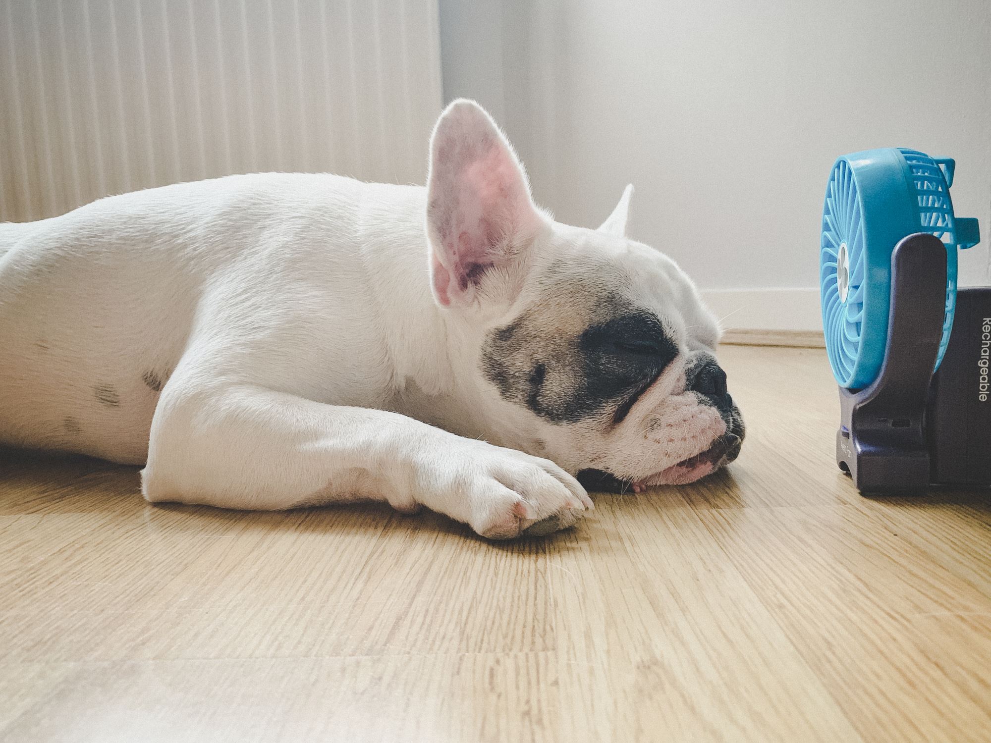 5 Signs Your Air Conditioner Needs Repair