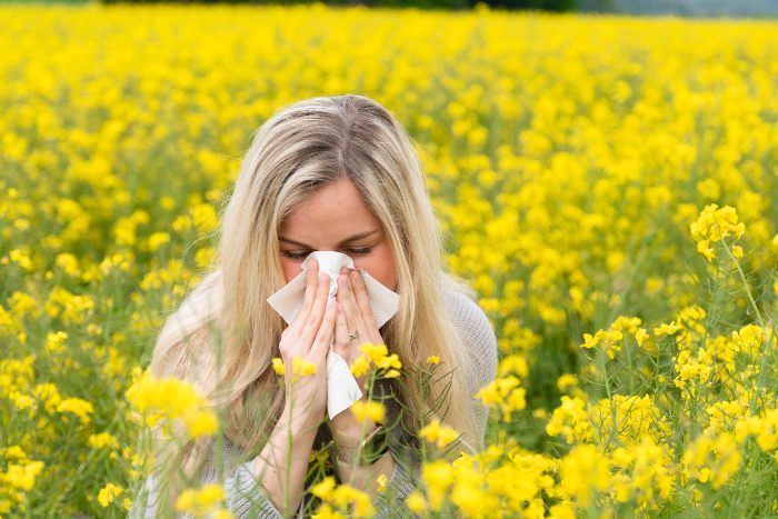 Pollen Allergy 